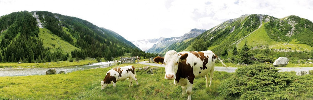 Alpenhof Hotel Garni Supreme Zell am Ziller Εξωτερικό φωτογραφία